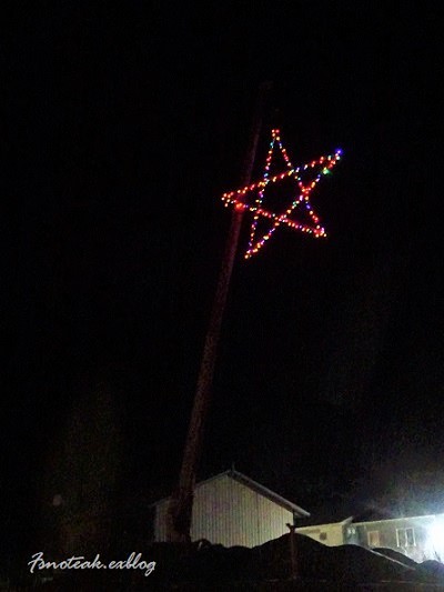 2019 Polar Plunge 輝く星 ホワイトクリスマス _d0356844_12540107.jpg