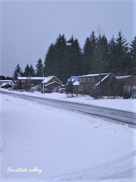 2019 Polar Plunge 輝く星 ホワイトクリスマス _d0356844_13192858.jpg