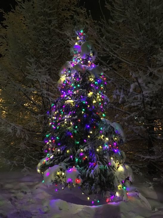 メリークリスマス!_b0135948_19305275.jpg