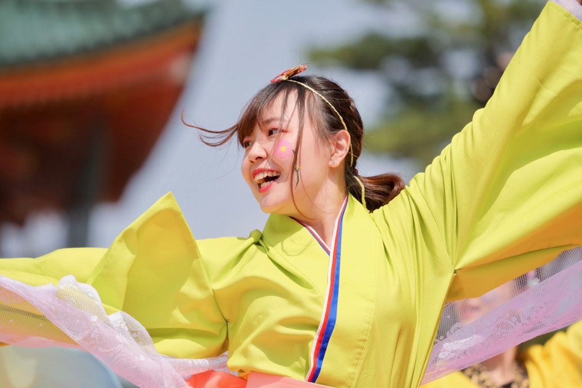 ２０１９京都さくらよさこい１日目神宮道スペシャルステージその５（京炎そでふれ！華羅紅）_a0009554_21551114.jpg