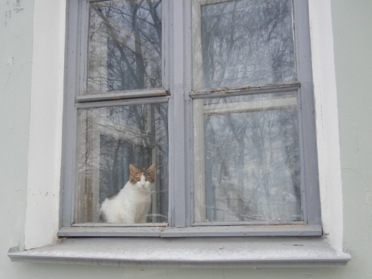 ’19,12,26(木)冬のロシアの旅の思い出!_f0060461_10191387.jpg