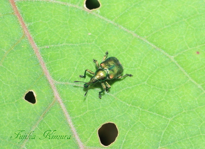 ■■　小さな夢が叶うときって？　Fin.  ■■_c0195662_22042332.jpg