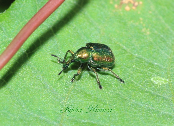 ■■　小さな夢が叶うときって？　Fin.  ■■_c0195662_22042960.jpg