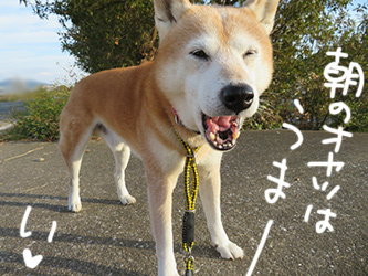 カメラ再び_b0057675_11050179.jpg