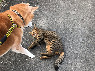 カメラ再び_b0057675_11400044.jpg