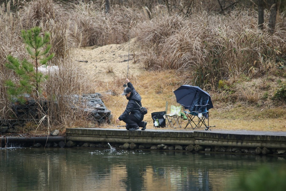 本日の新着情報_b0365177_17395927.jpg