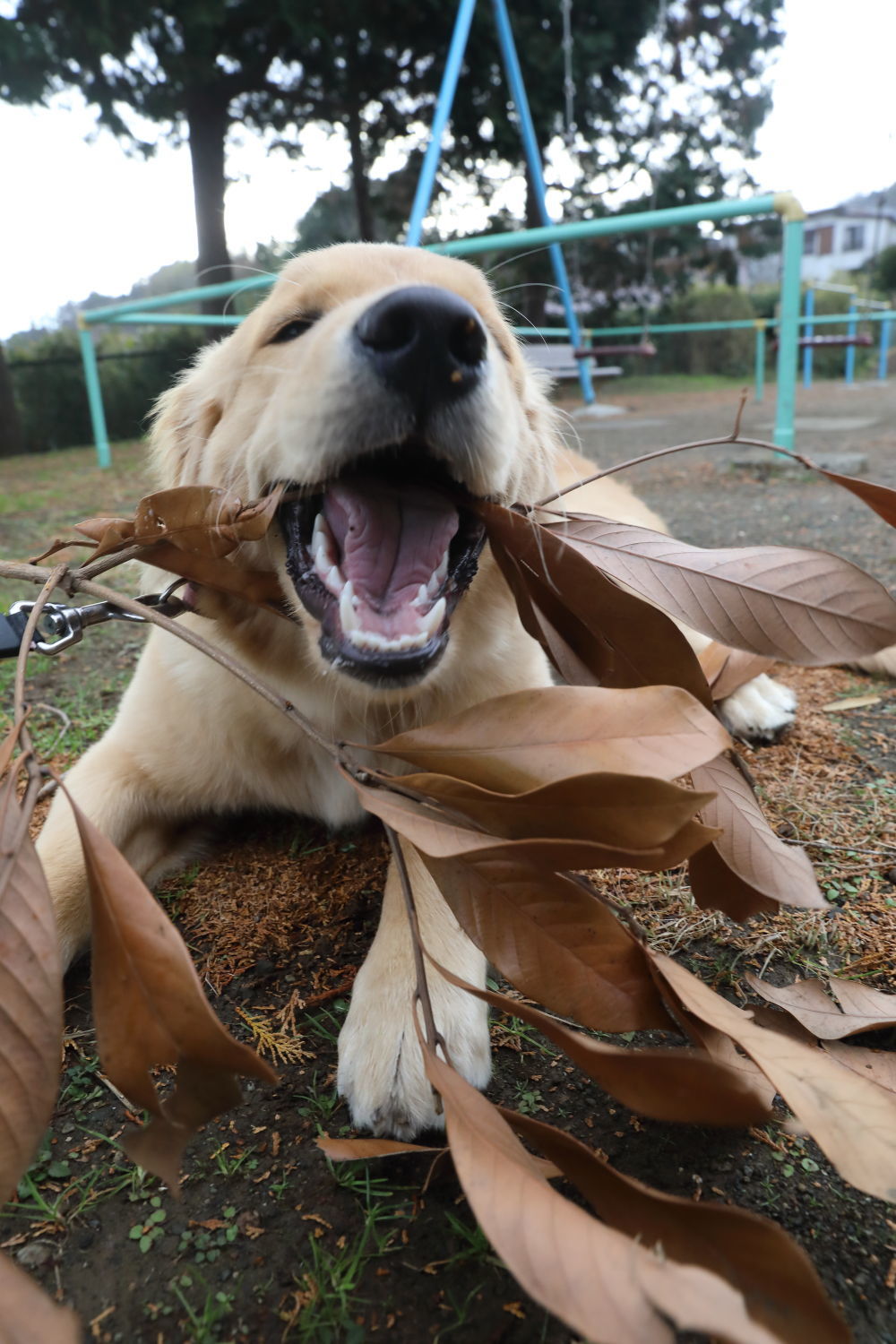 容疑者L♪_b0275998_10020406.jpg