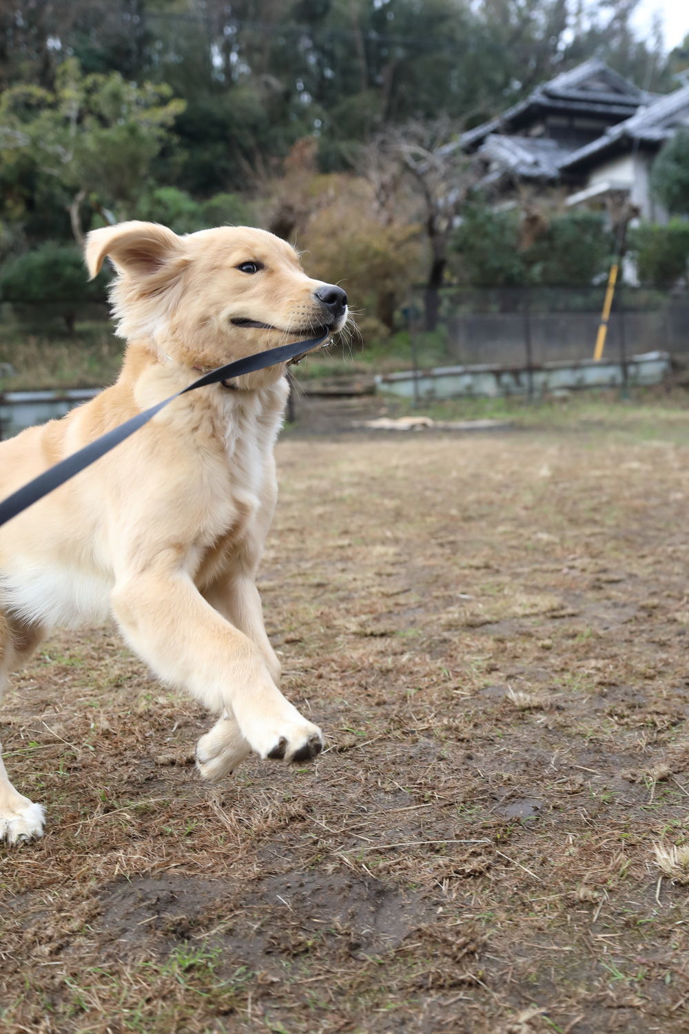 容疑者L♪_b0275998_10055698.jpg
