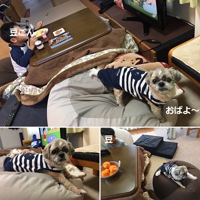 冬休み突入!そして襲撃(^^;)_f0372998_18592879.jpg