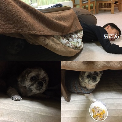 冬休み突入!そして襲撃(^^;)_f0372998_19000177.jpg