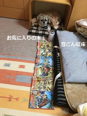 冬休み突入!そして襲撃(^^;)_f0372998_19001111.jpg