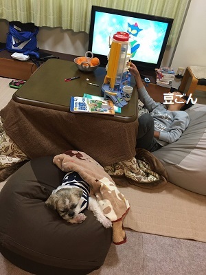 冬休み突入!そして襲撃(^^;)_f0372998_19002470.jpg