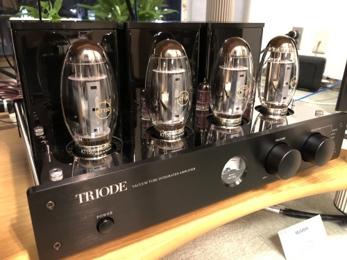 TRIODE話題のMUSASHI(武蔵)&TRZ-300W比較試聴できます。_c0113001_23064169.jpeg
