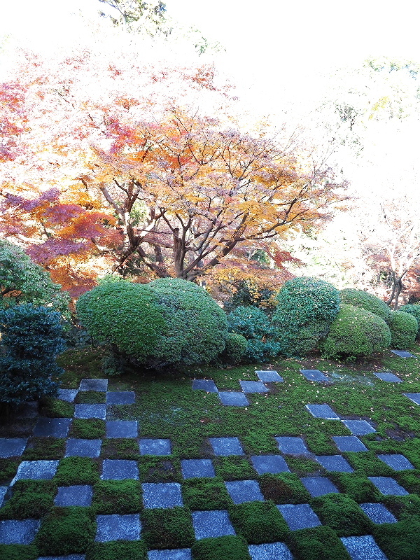 市松模様_e0374932_07572271.jpg