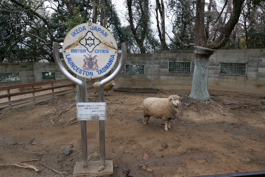 池田市 五月山動物園 マルちゃん安らかに_f0050534_17494650.jpg