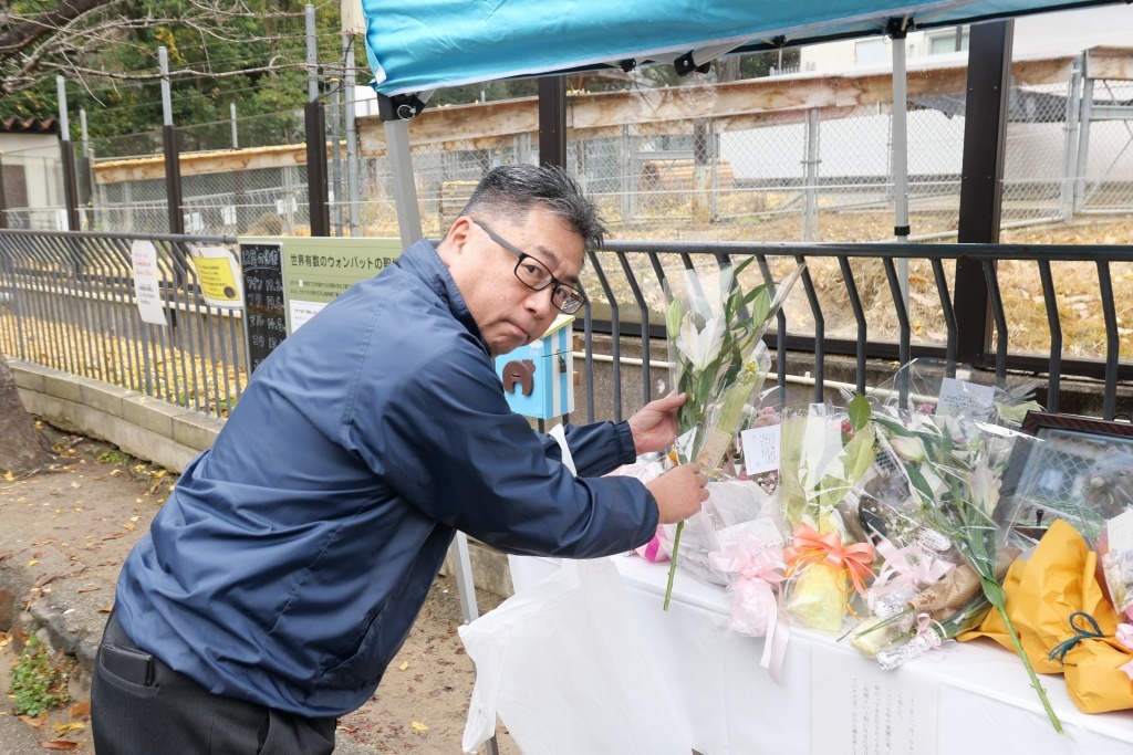池田市 五月山動物園 マルちゃん安らかに_f0050534_17514016.jpg