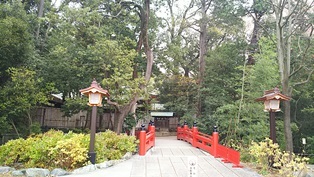 氷川神社からのまるまる東日本 @大宮_b0080342_11214284.jpg