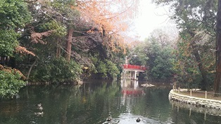 氷川神社からのまるまる東日本 @大宮_b0080342_11272069.jpg