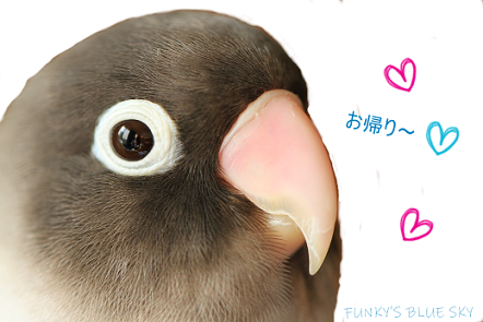 それから小さなオオカミは・・・_c0145250_08422678.png