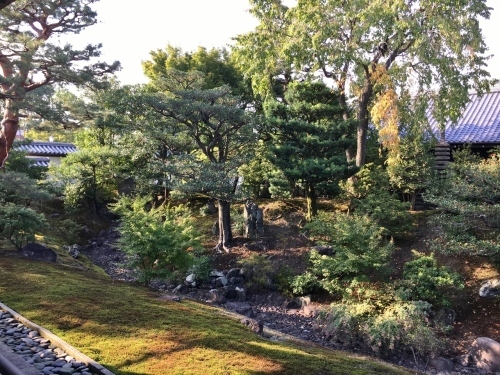 京都の旅\'19Ⅴ 京都裏千家訪問他_e0326953_18174270.jpg