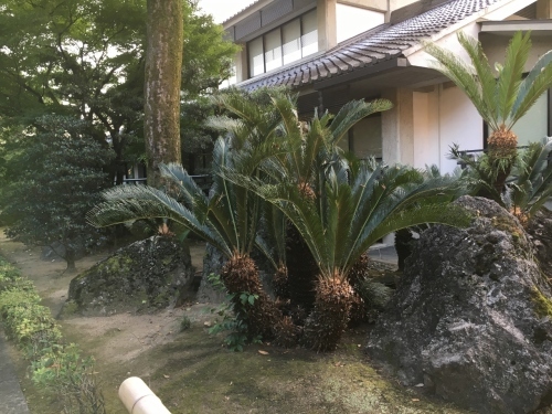 京都の旅\'19Ⅴ 京都裏千家訪問他_e0326953_18302726.jpg