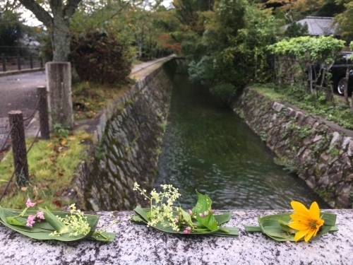 京都の旅\'19Ⅴ 京都裏千家訪問他_e0326953_18492673.jpg