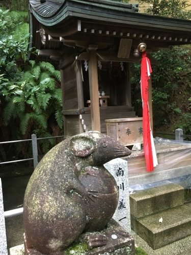 京都の旅\'19Ⅴ 京都裏千家訪問他_e0326953_18580218.jpg