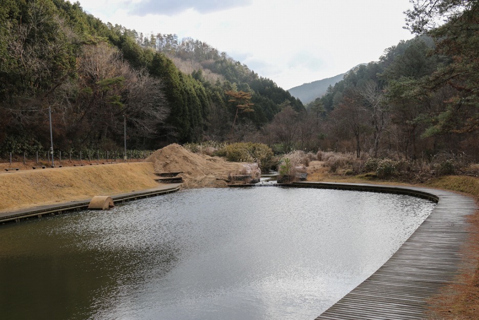 本日の新着情報_b0365177_08594585.jpg