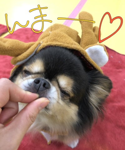 トレーニングブログ_f0357682_15300587.png