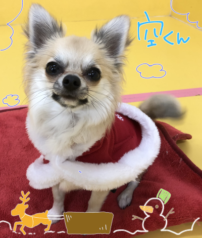 トレーニングブログ_f0357682_17430836.png