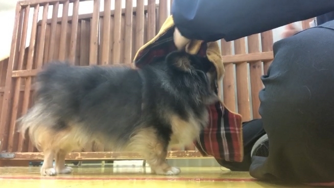 トレーニングブログ_f0357682_17484587.jpg