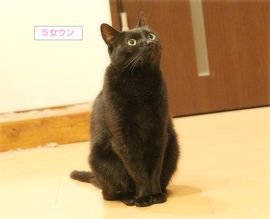 ちいさな一歩_a0389088_11101139.jpg