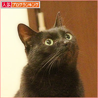 ちいさな一歩_a0389088_11101256.jpg
