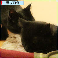 ちいさな一歩_a0389088_11101270.jpg