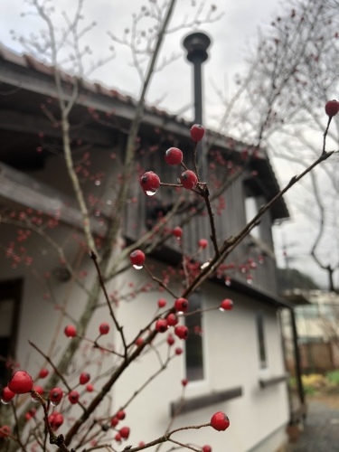 年末年始のお知らせ_d0087595_13274956.jpeg