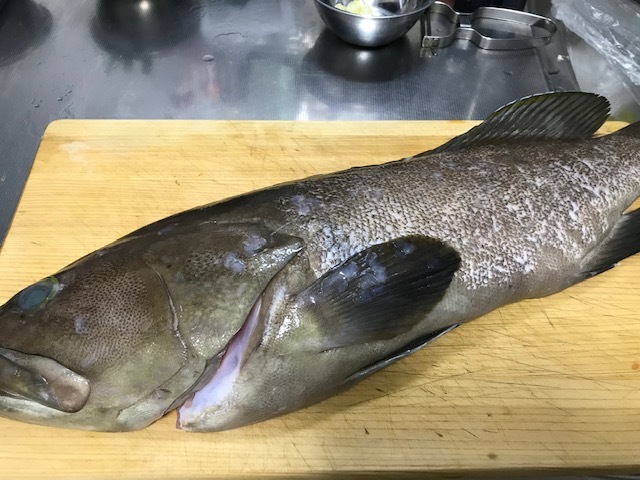 クエ鍋_f0204295_17542188.jpg