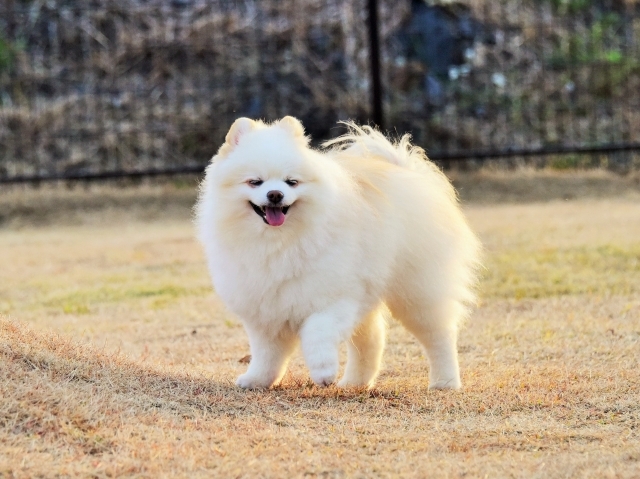 あゝ冬休み_d0360206_00002540.jpg
