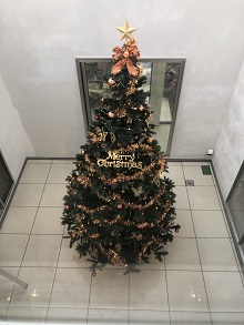 2019\'メリークリスマスから!_d0091909_11570531.jpg