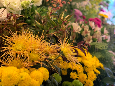 お正月花 お飾り♪_e0128909_20451816.jpg