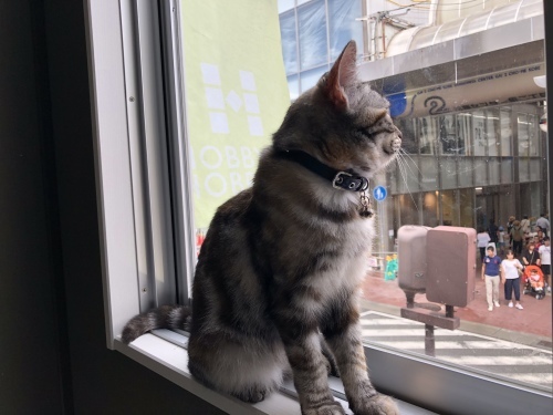 帰省ラッシュ_d0184114_20585254.jpeg