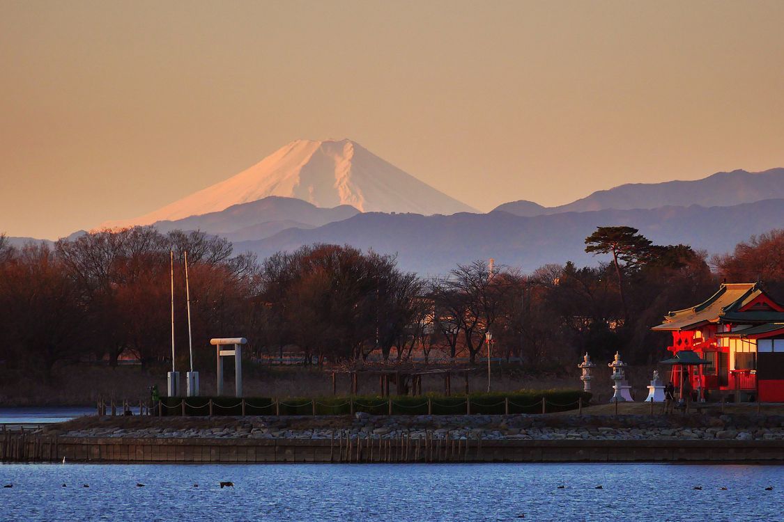 絶景！多々良沼から富士山を見よう！・・・って事で、又今朝も早よから・・・_a0031821_14250921.jpg