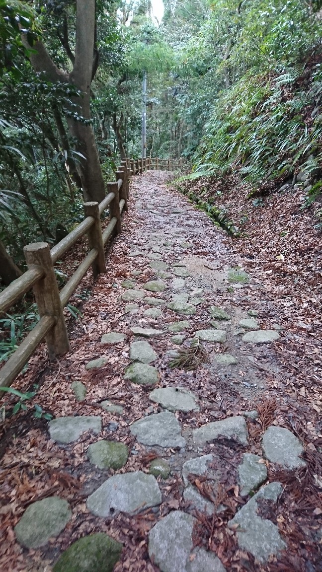 五合庵と弥彦山_b0237229_20490738.jpg
