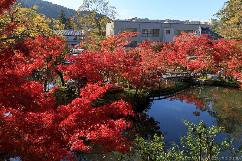 永観堂の紅葉　そして　よいお年を…_b0325840_23101699.jpg