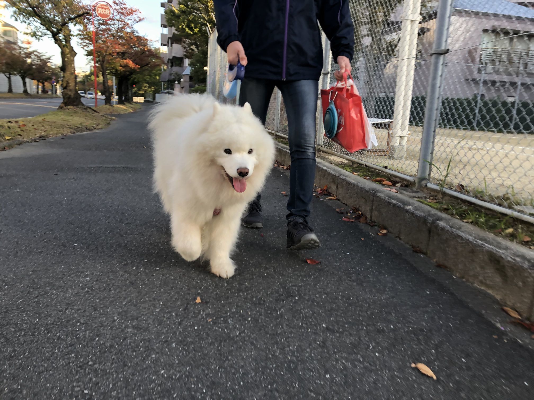 2019年11月前半 インスタ写真集_f0128542_01421166.jpg