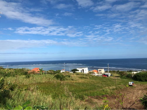 201912沖縄・石垣島旅行記#08～石垣島ドライブで念願のブルーシールアイス♪_f0207146_13580227.jpg