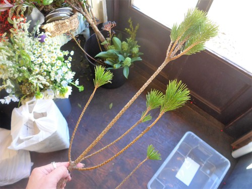 花修行 ~根引松と雲龍梅のお正月飾り~_f0232060_2332852.jpg