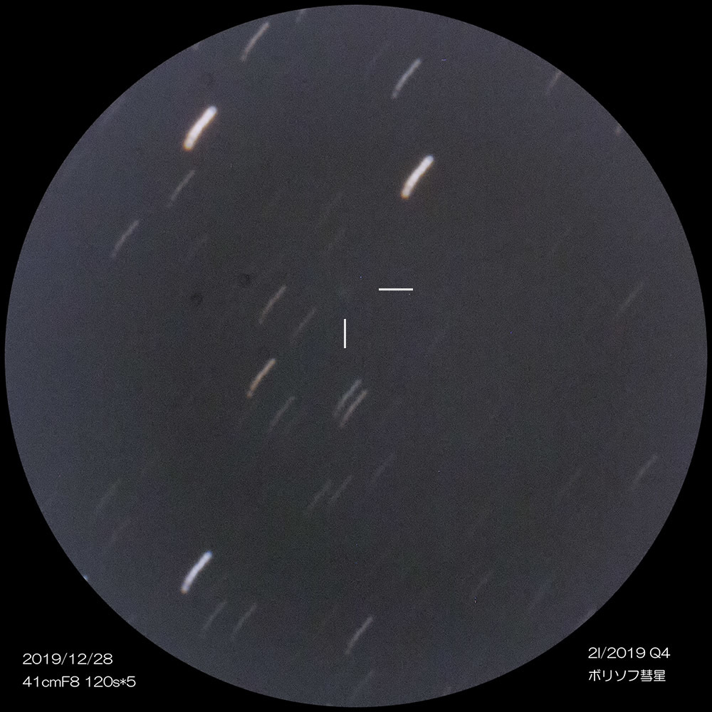 ボリソフ彗星など_e0174091_15280389.jpg