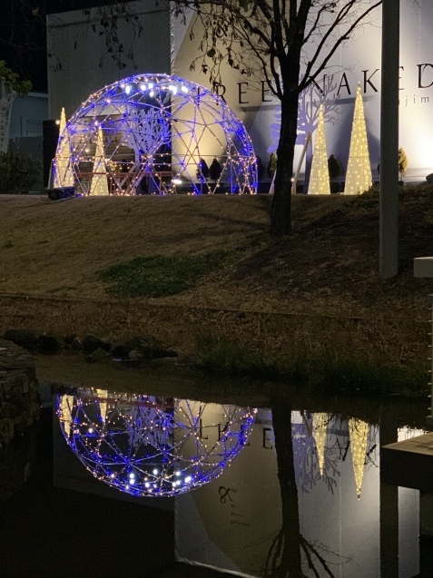 我が家の忘年会と写真の練習☆_a0370893_19273028.jpeg