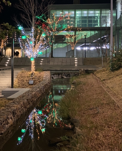 我が家の忘年会と写真の練習☆_a0370893_22023883.jpeg