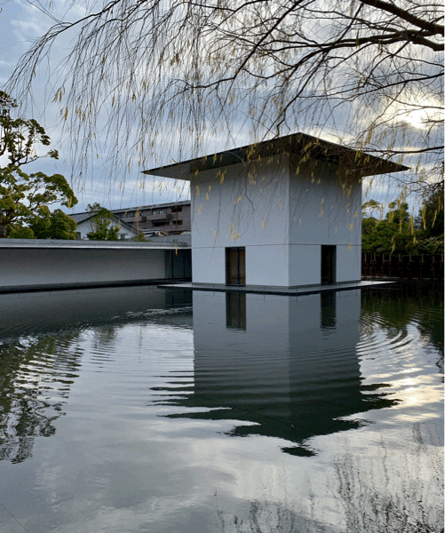 鈴木大拙館再訪。_b0014003_19490858.gif